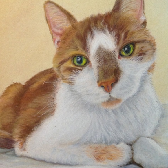 Meet your Posher, Carolyn - Picture 1 of 15